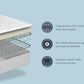 Sealy Mattress
