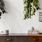 Spring Table Lamp