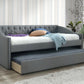 Guest Bed