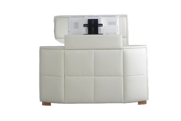 TV Bed